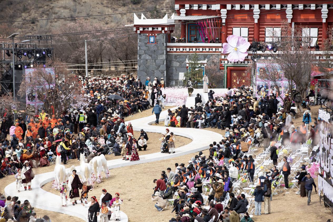 Daofu Apricot Blossom Festival Highlights New Cultural-Tourism Integration on the Plateau