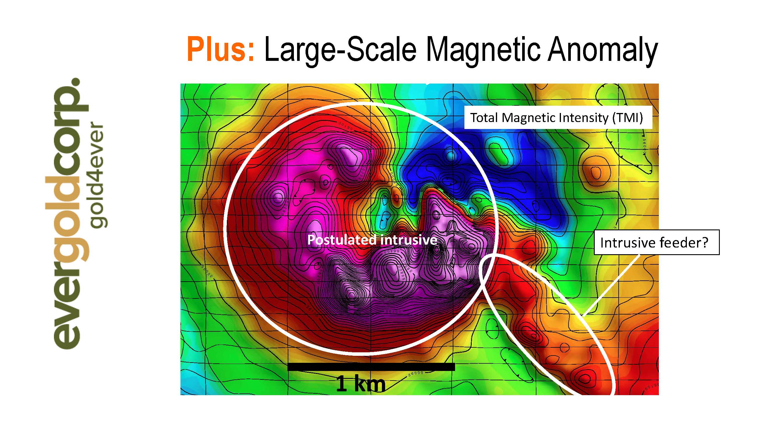 Figure 3 - DEM Magnetic Anomaly
