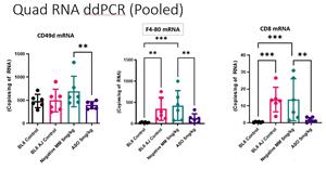 Quad RNA ddPCR (Pooled)