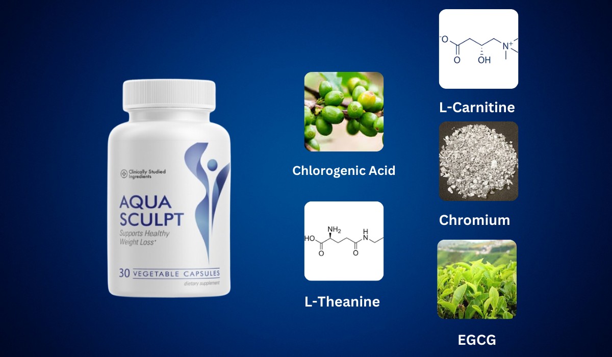 AquaSculpt Ingredients
