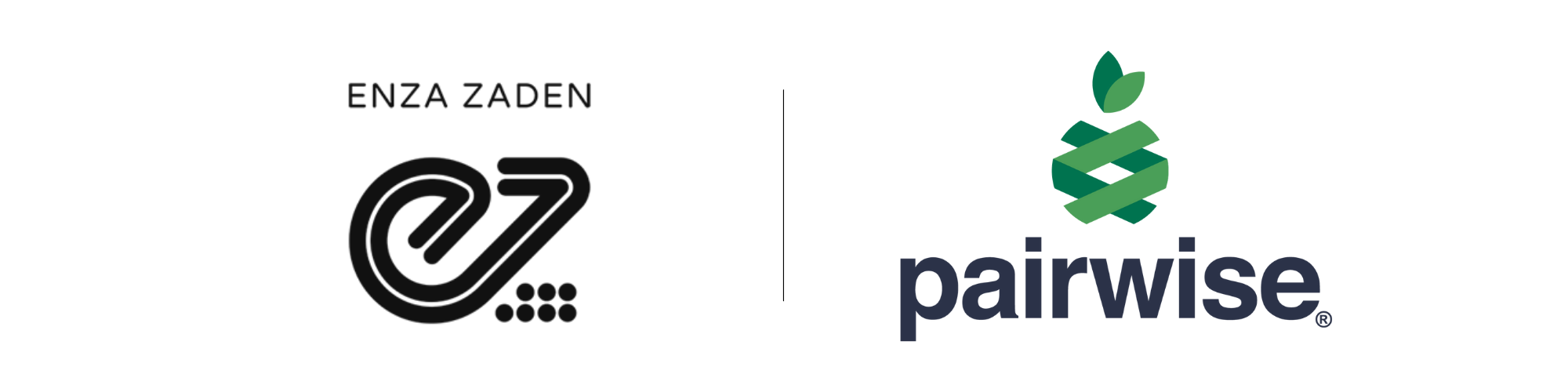 Enza Zaden and Pairwise Join Forces to Drive Sustainable Innovation in Vegetable Breeding