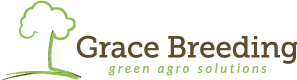 Grace Breeding announces results from its NFT