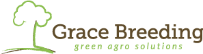 Brazil Field Trials of Grace Breeding’s Environmentally Friendly Maoz™ (NFT Bio-Fertilizer) in Corn Show Trifold Economic Benefit To Farmers While Using 50% Less Urea