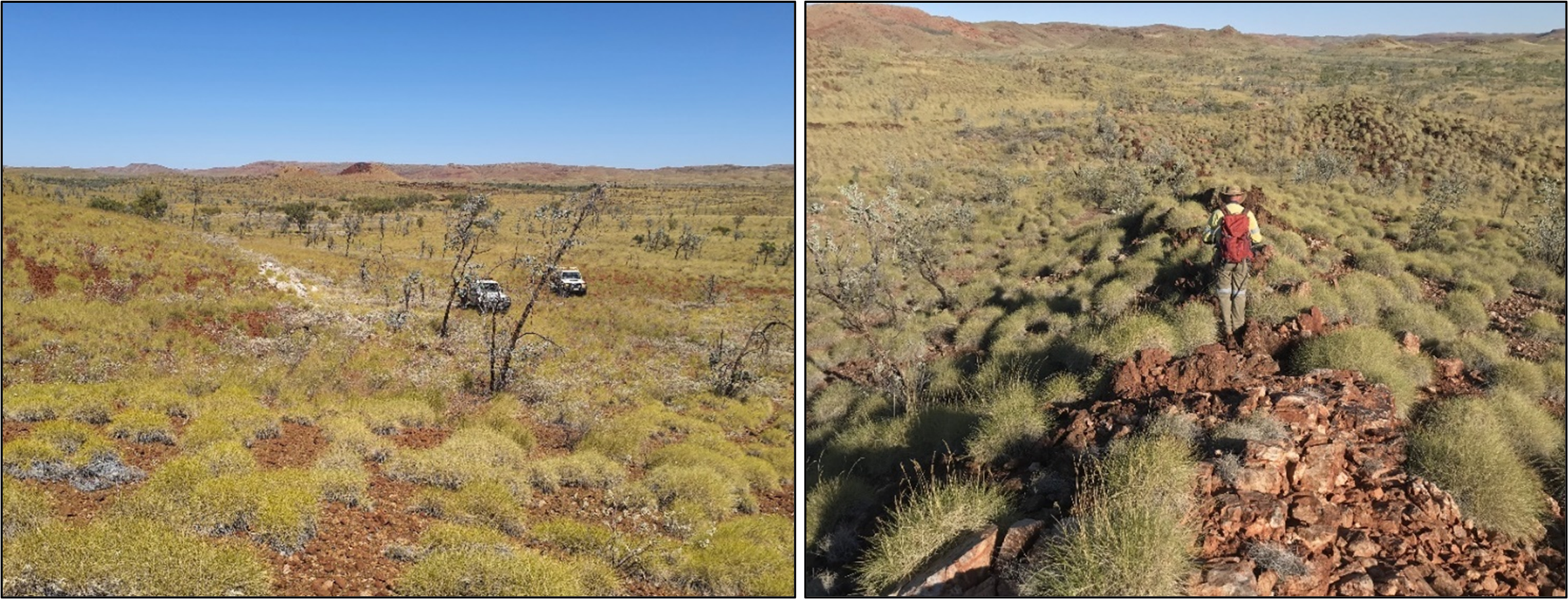 Field photographs from exploration programs at Bamboo (left) and Miralga (right)