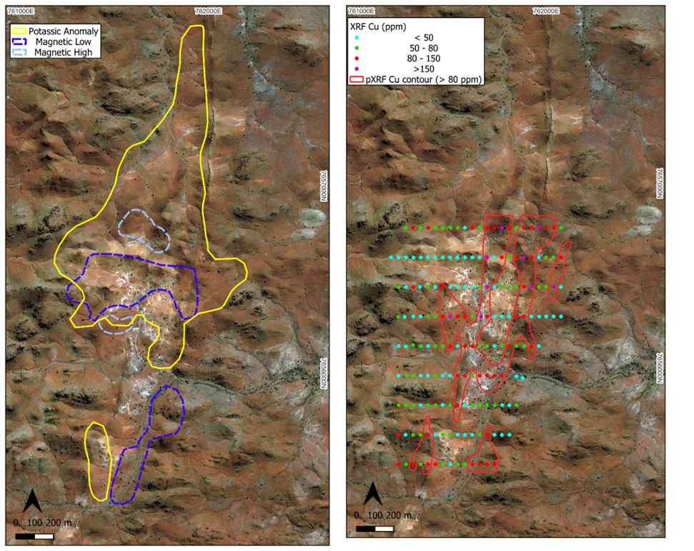 Shady Camp West highlighting geophysical anomalies (left) and pXRF soil Cu geochemical anomalies (right). The potassic anomaly over 2.2 km strike partially overlaps with intense clay alteration of porphyries and host basalt (light colouration on the imagery). Coherent Cu anomalism is open and untested to the north and correlates with maximum quartz veining and weak Au and Mo anomalism in soils.