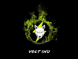 Volt Inu Logo.png