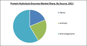 protein-hydrolysis-enzymes-market-share.jpg