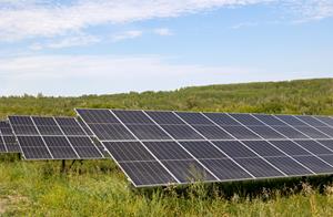 Photo of solar panels surrounded by native grasses and plants.