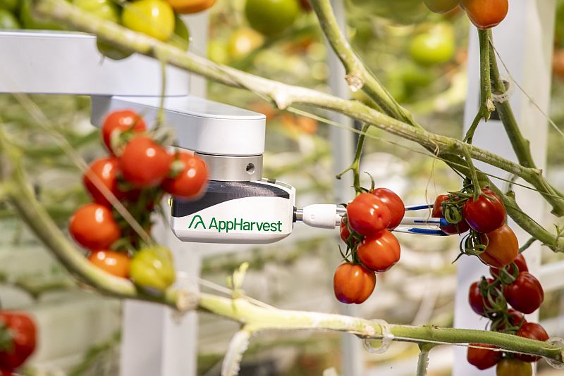 AppHarvest intelligent robot harvester