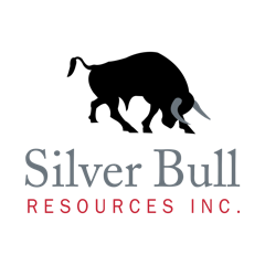 Silver Bull Logo.png