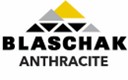 Blaschak Logo.jpg
