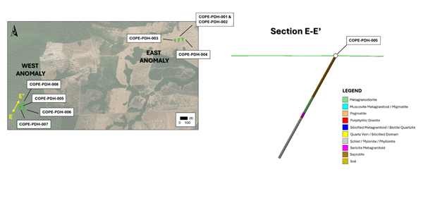 Figure 1 image
