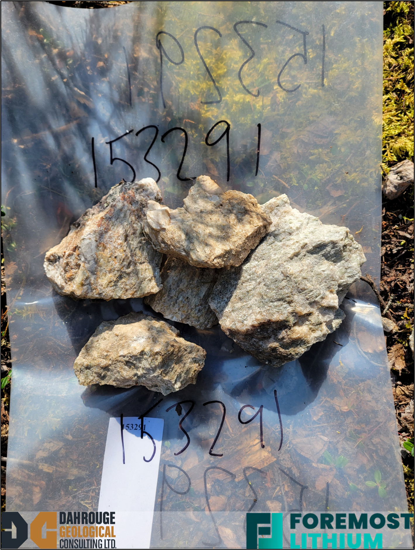 A grab sample from Dyke 1 on the Zoro Property that assayed at 2.13% Li2O