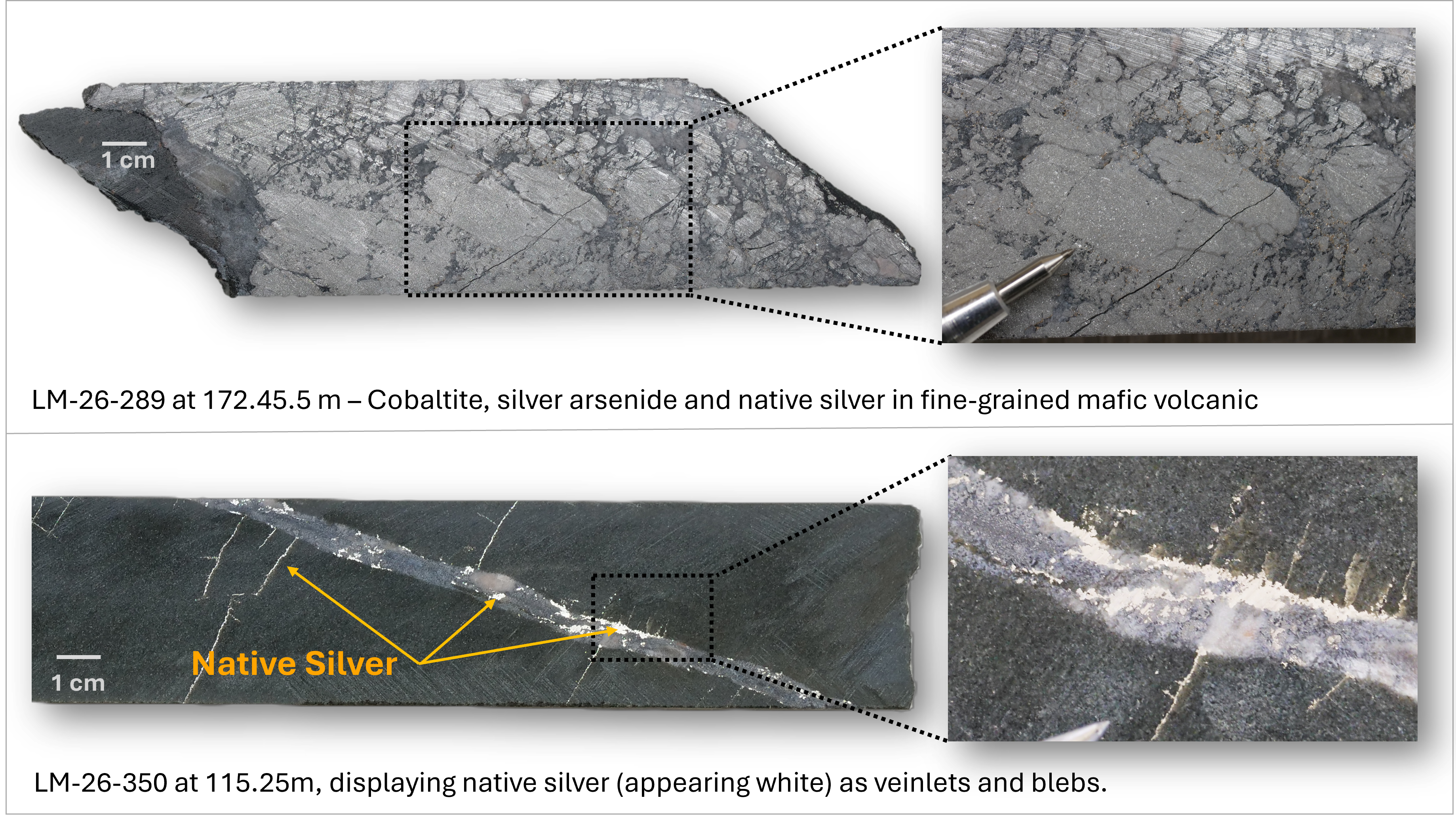 Figure 1 image