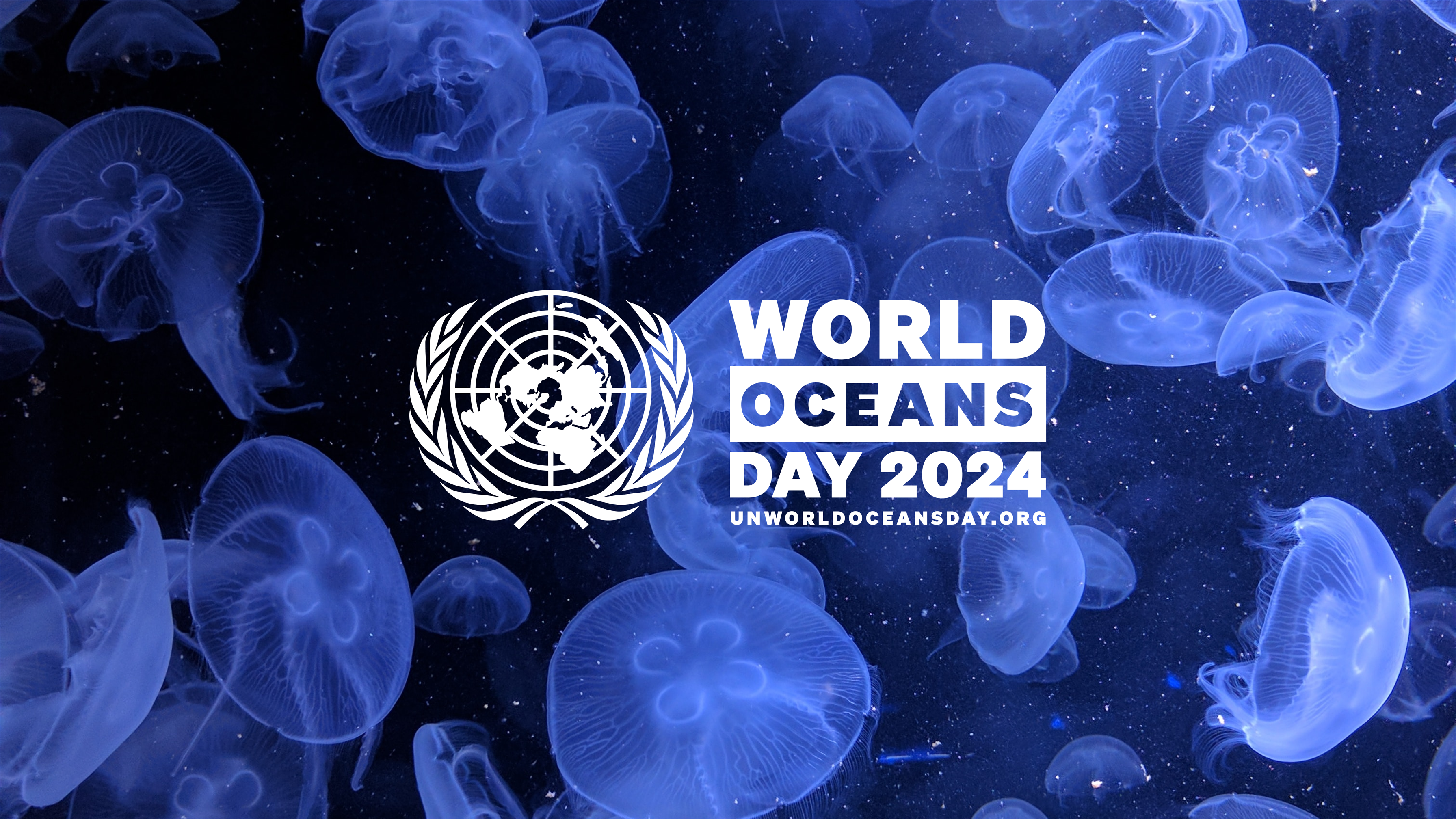 United Nations World Oceans Day 2024