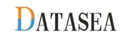 Datasea logo.jpg