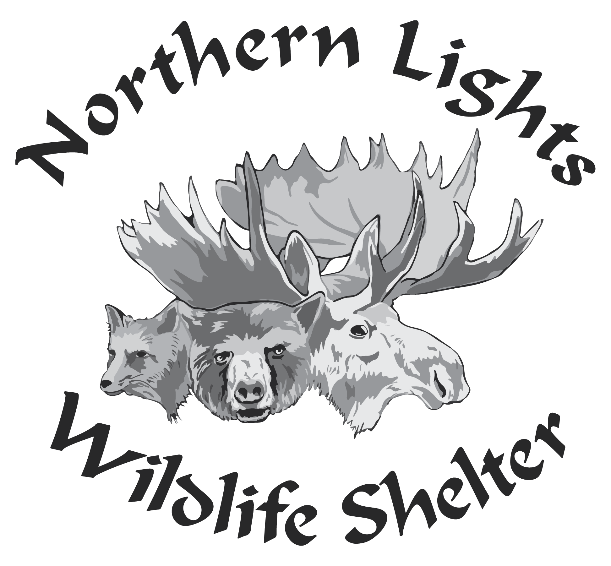 NLWs logo_white outline.png