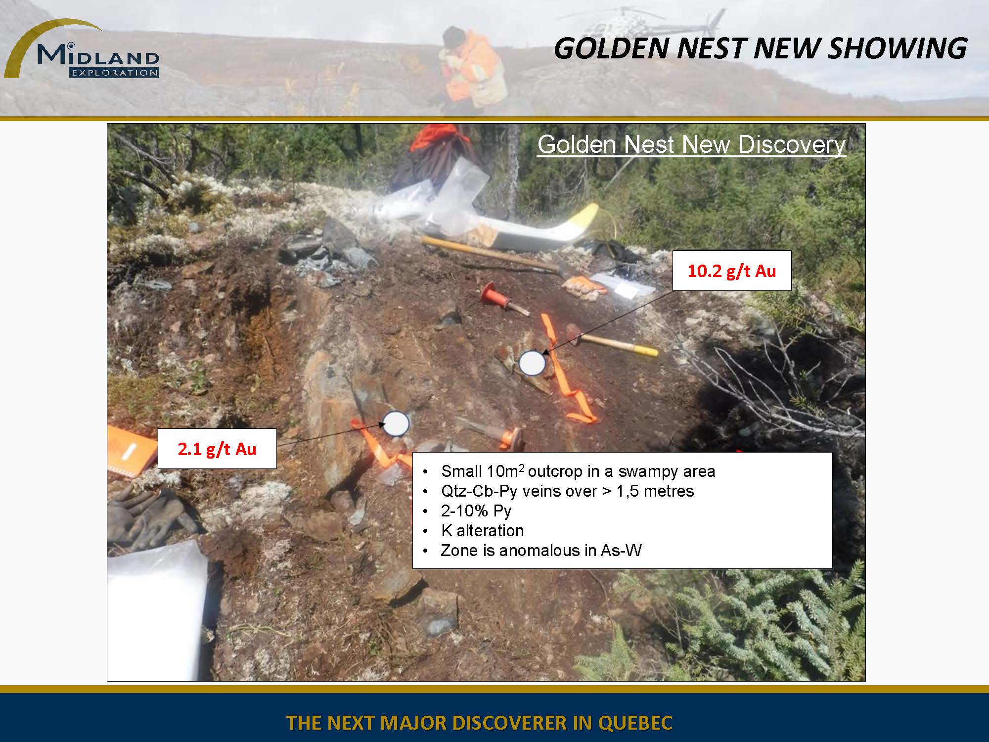 Figure 7 Golden Nest New Showing