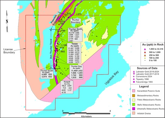 Figure 1. Gold and copper potential of the Thurber license, showing the 3km long Thurber Gold Trend.* image