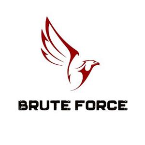 Brute Force Fight Logo.jpg