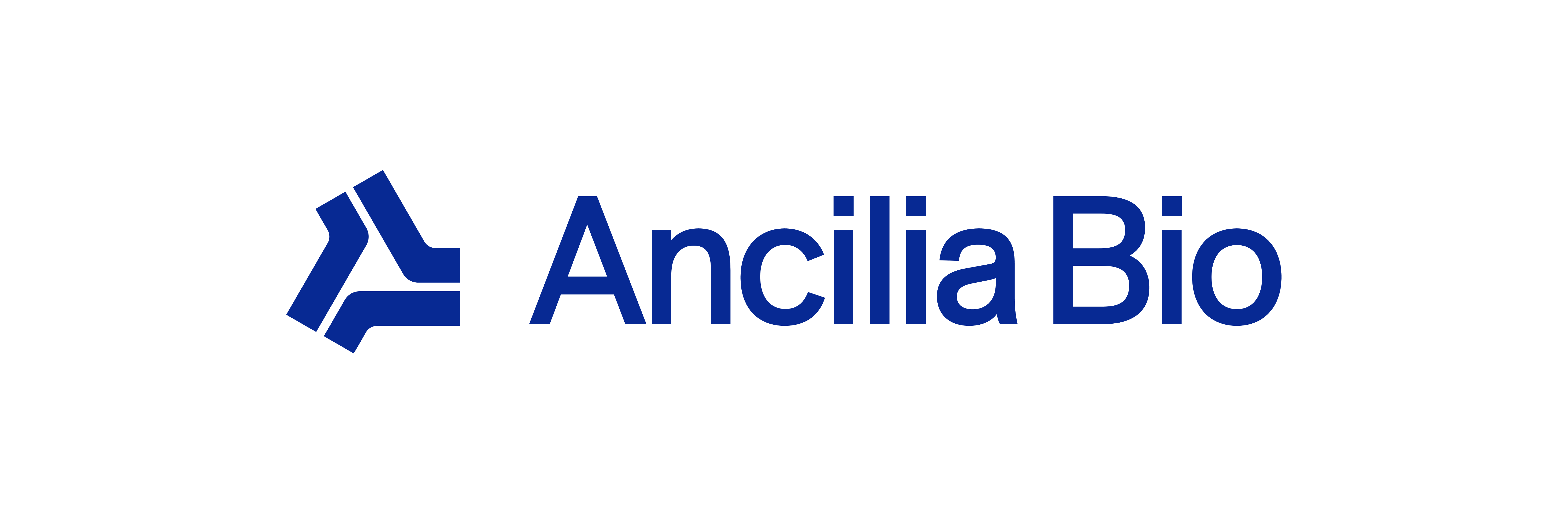 Ancilia_Wordmark_Decorative_no R.png