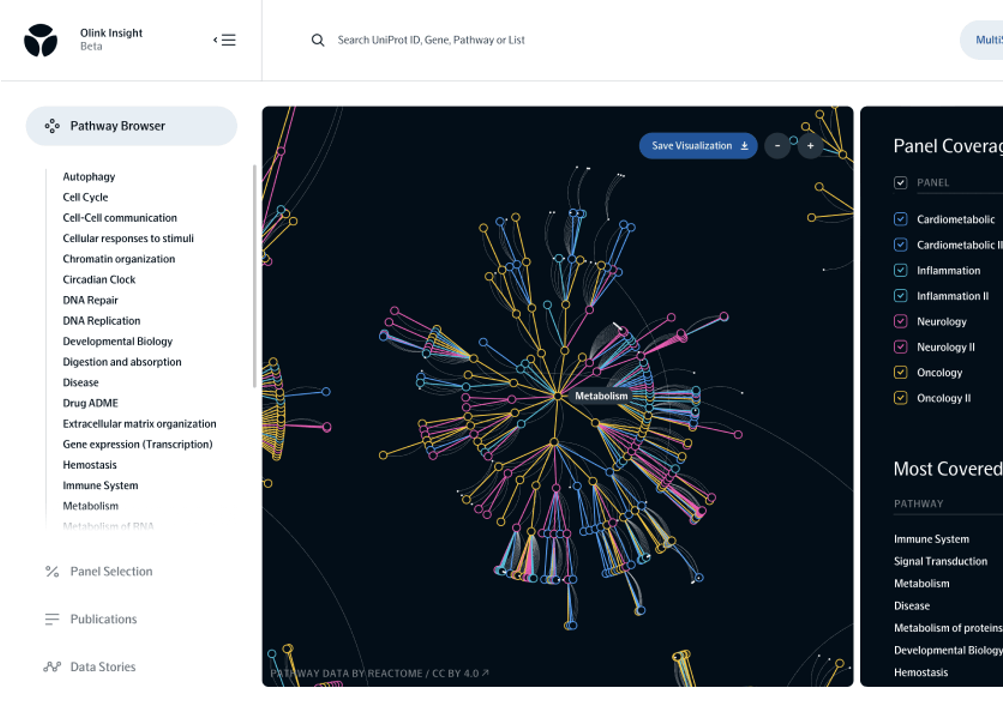 Image Insight platform