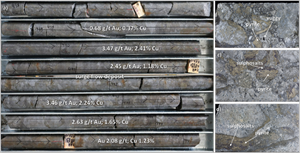 Photographs of representative high-grade copper-gold mineralized drill core from hole EX_SD_27 at the Sharlo Dere zone.
