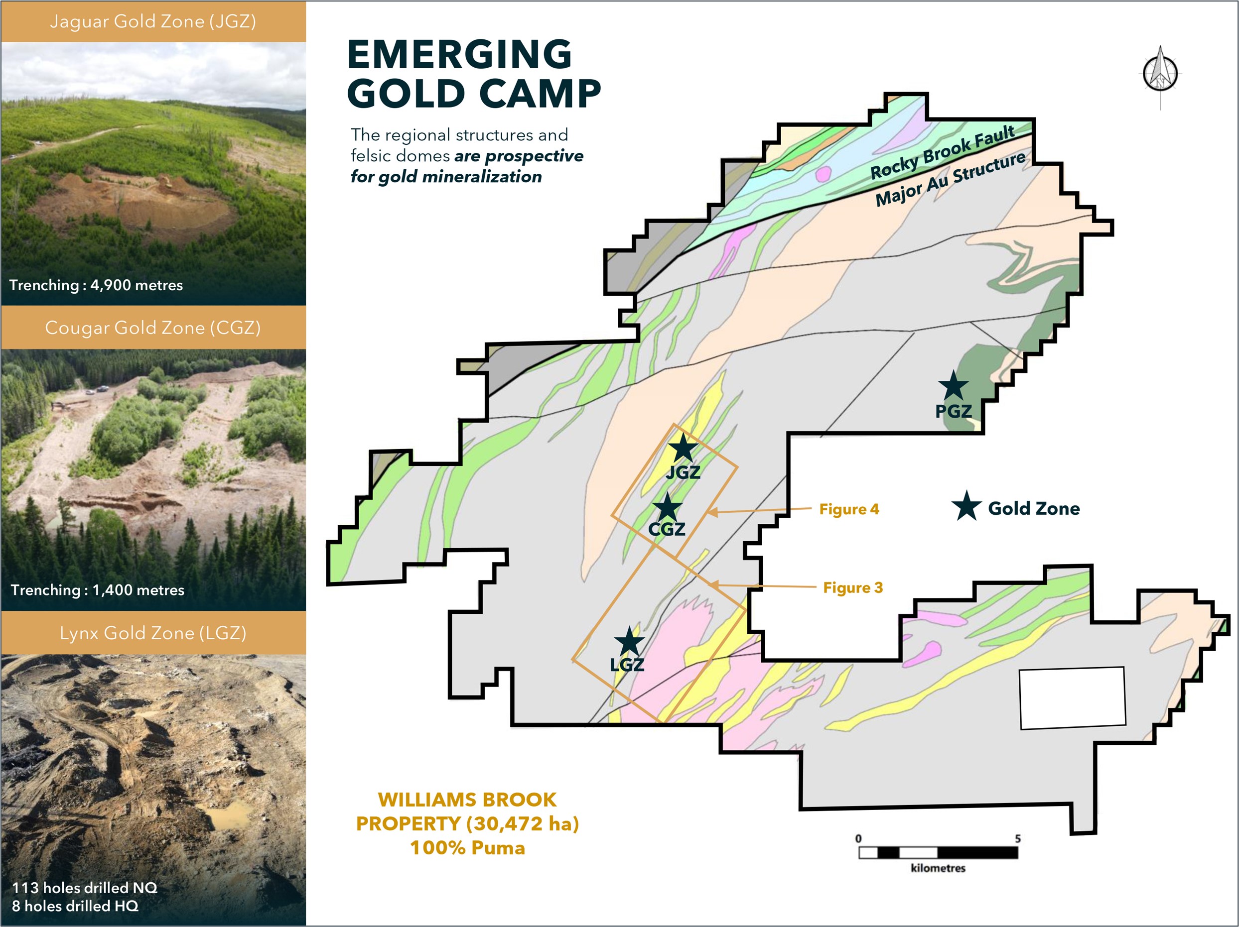 Main Gold Zones on the Williams Brook Property