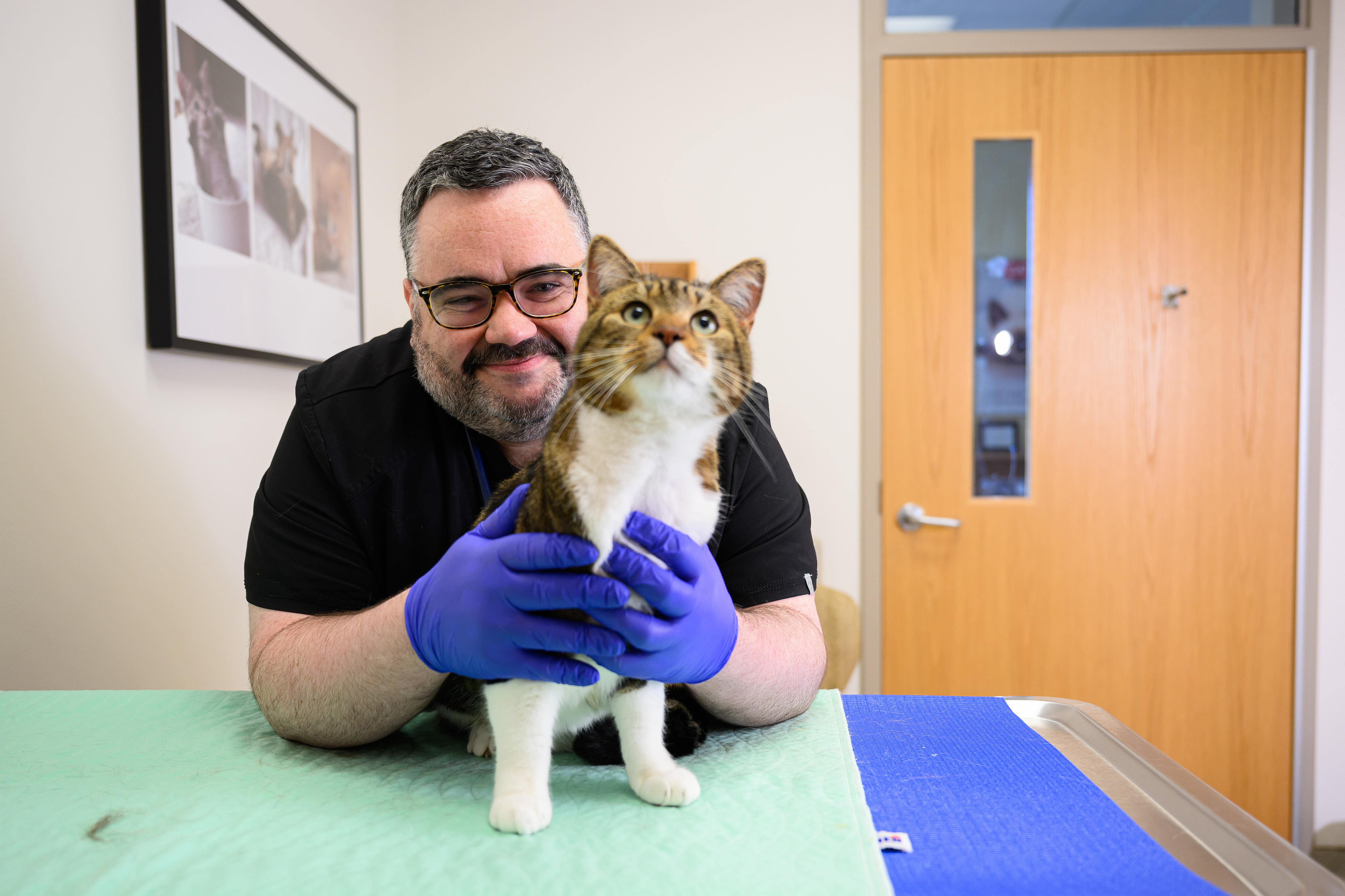 Dr. Alex Lynch, NC State Feline Health Center