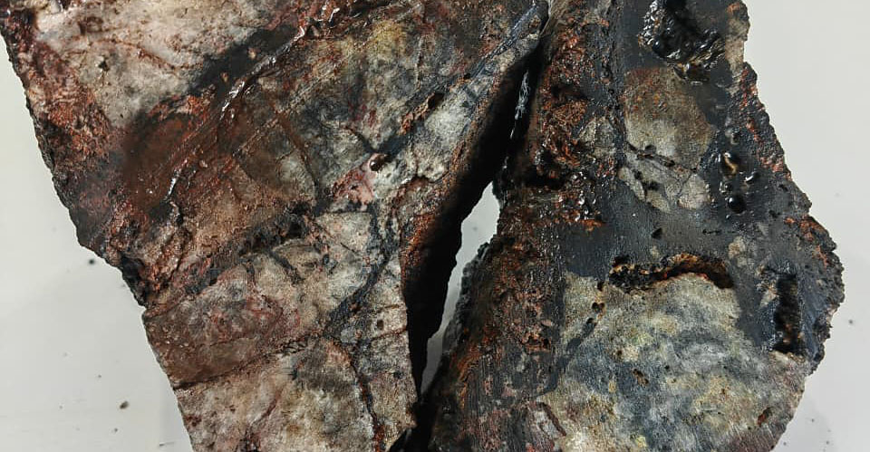 Figure 2 image