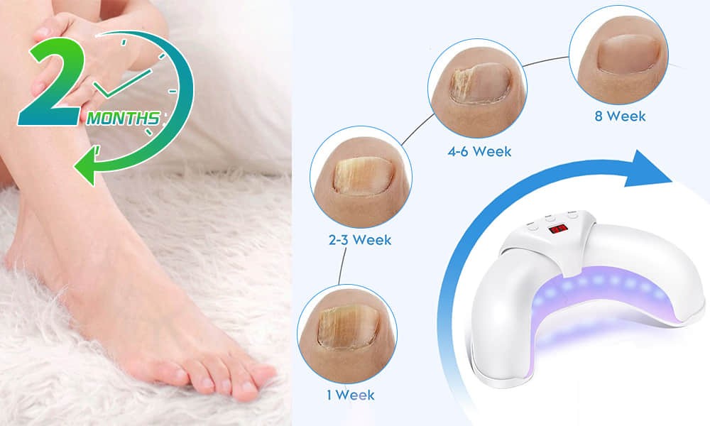 How Welnax BioClear Works