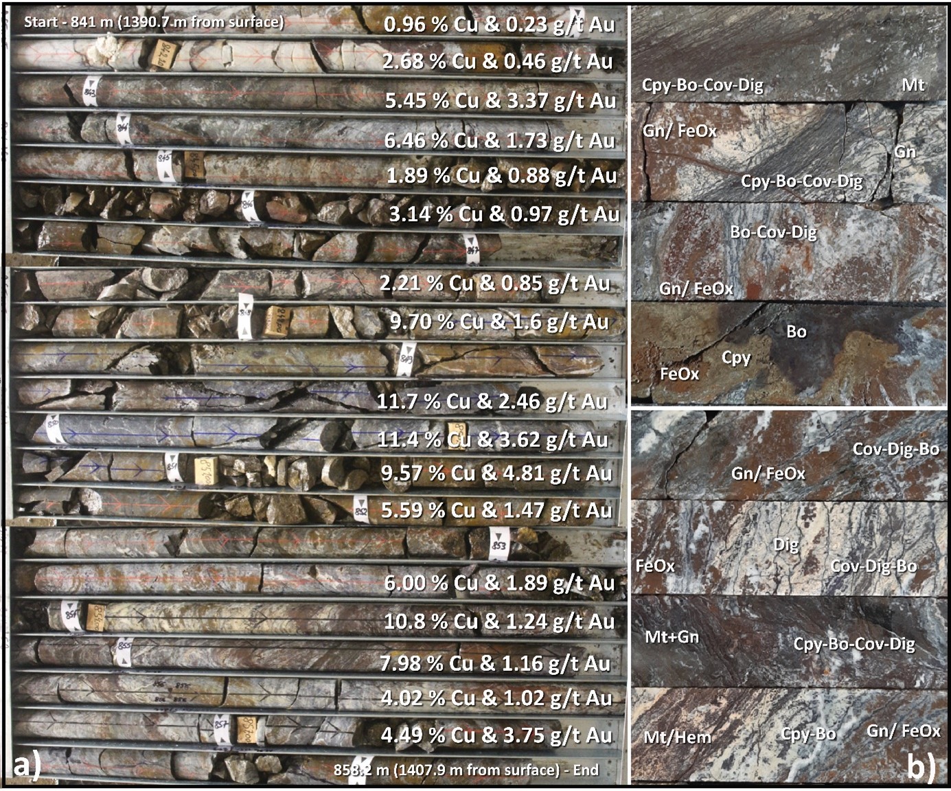 Images showing the core photos of copper-gold-silver skarn mineralization from hole DPDD025A, taken from the start of the interval reporting 49 metres at 4.18 % Cu, 1.48 g/t Au and 21.7 g/t Ag from 842 metres downhole.