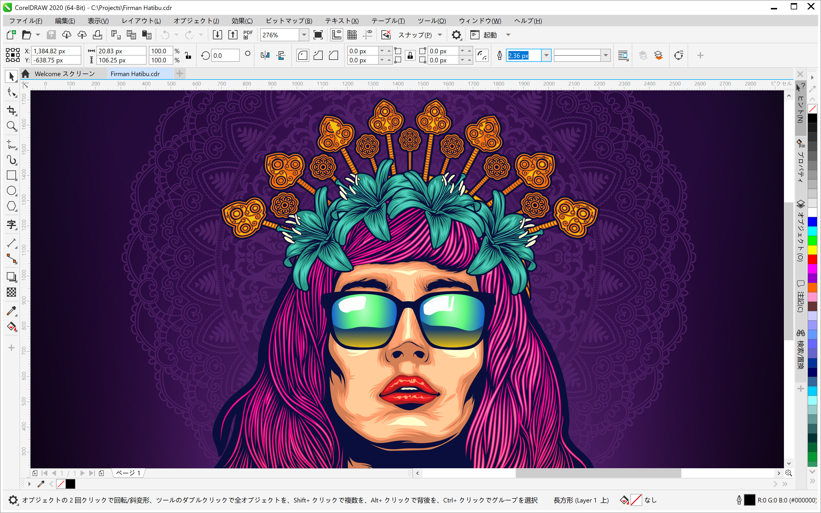 CorelDRAW Graphics Suite 2020 for Windows