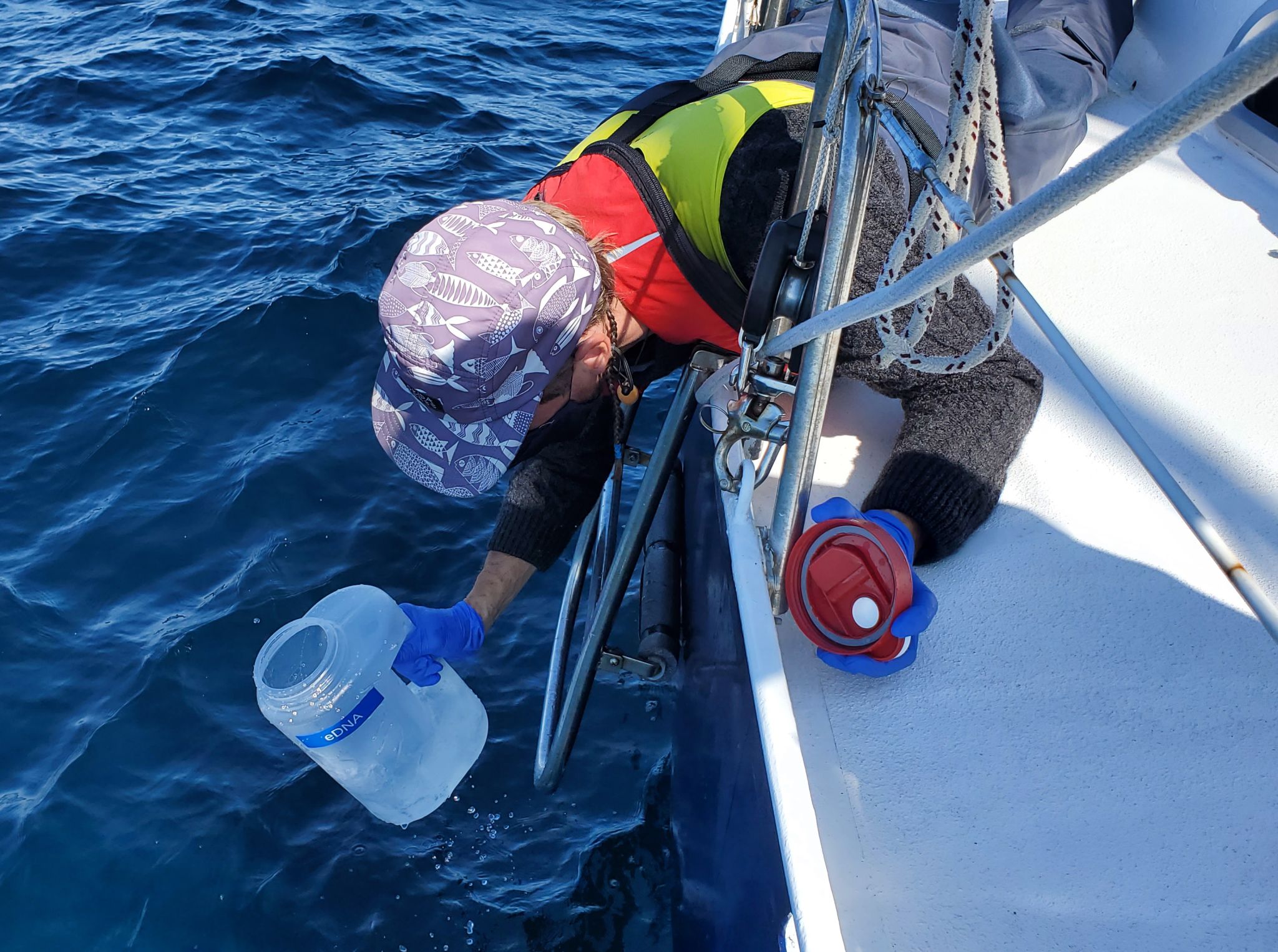 Researcher David Gaspard collecting seawater samples from a vessel for environmental DNA analysis.