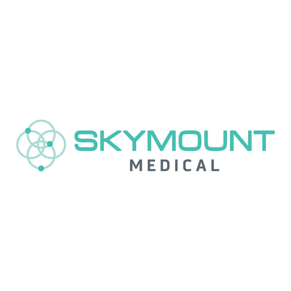 SkymountMedical_Logo_P3258C_v2.jpg