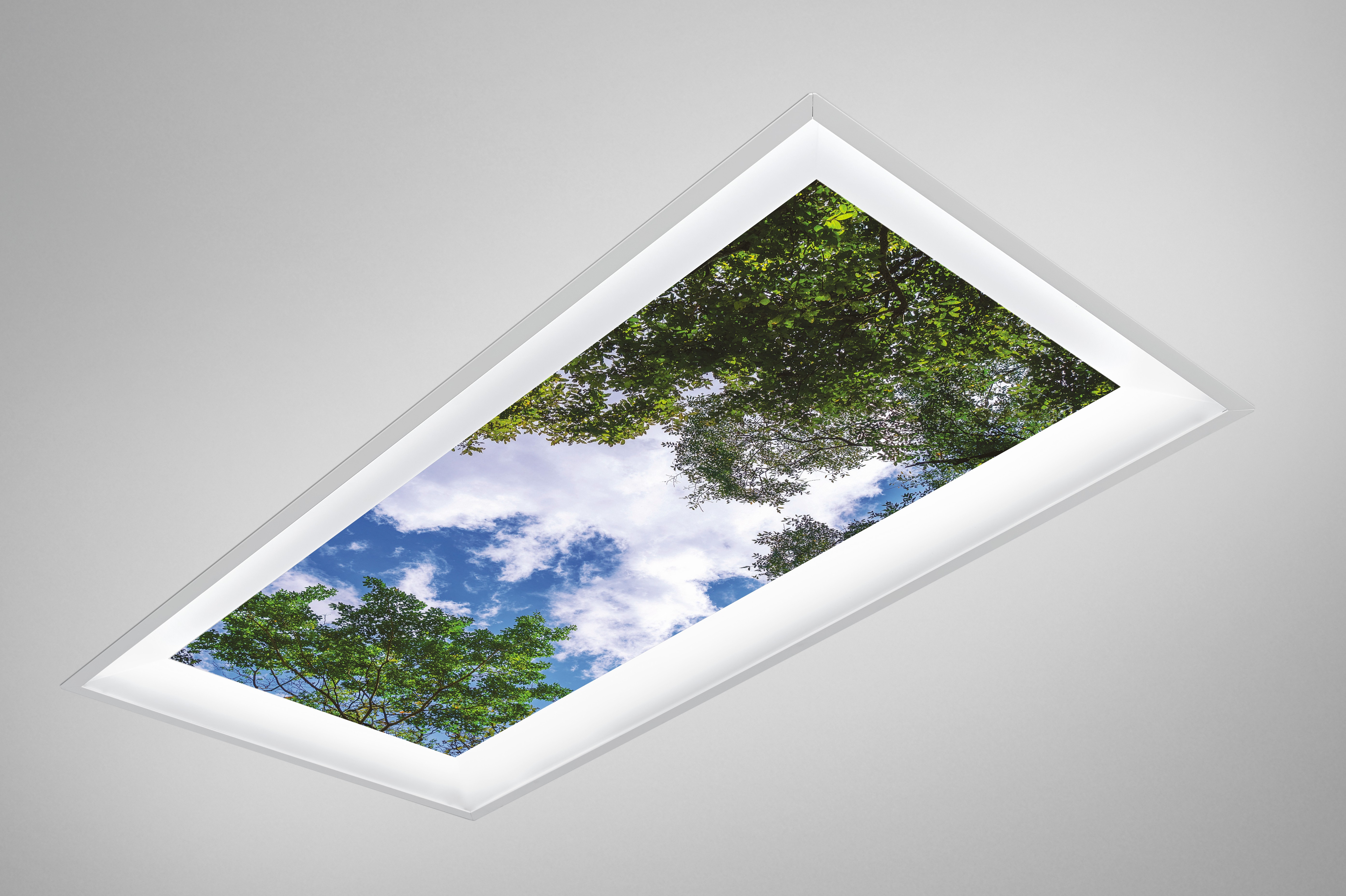 A beautiful mix of trees, clouds, and blue sky add a hint of nature to any healthcare environment