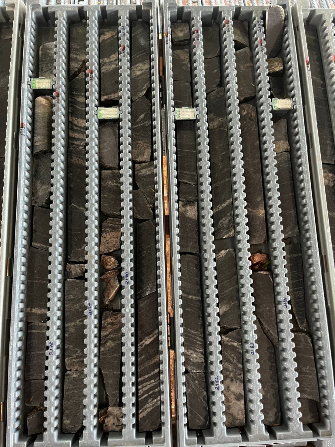 Figure 1 image