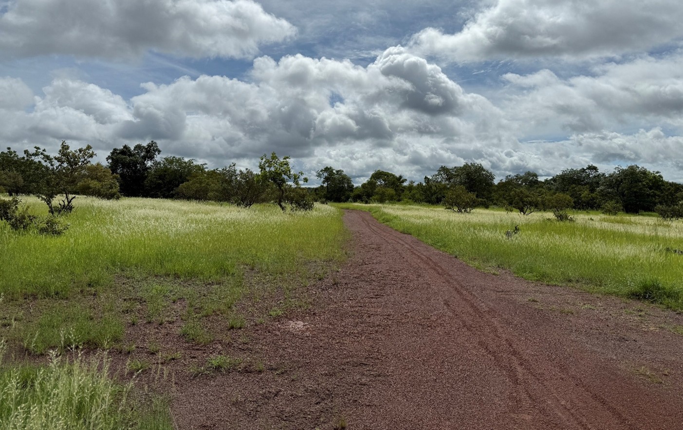 A 3-kilometer stretch of the Senegalese property road will be improved to support pilot plant operations. image