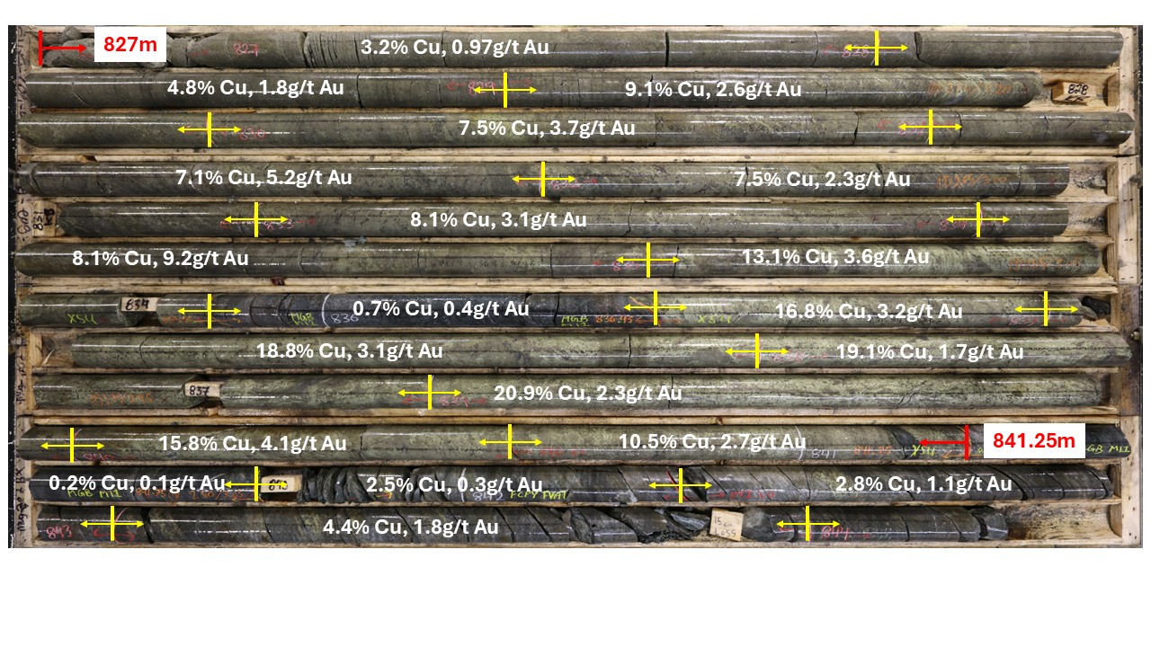 Figure 2 image