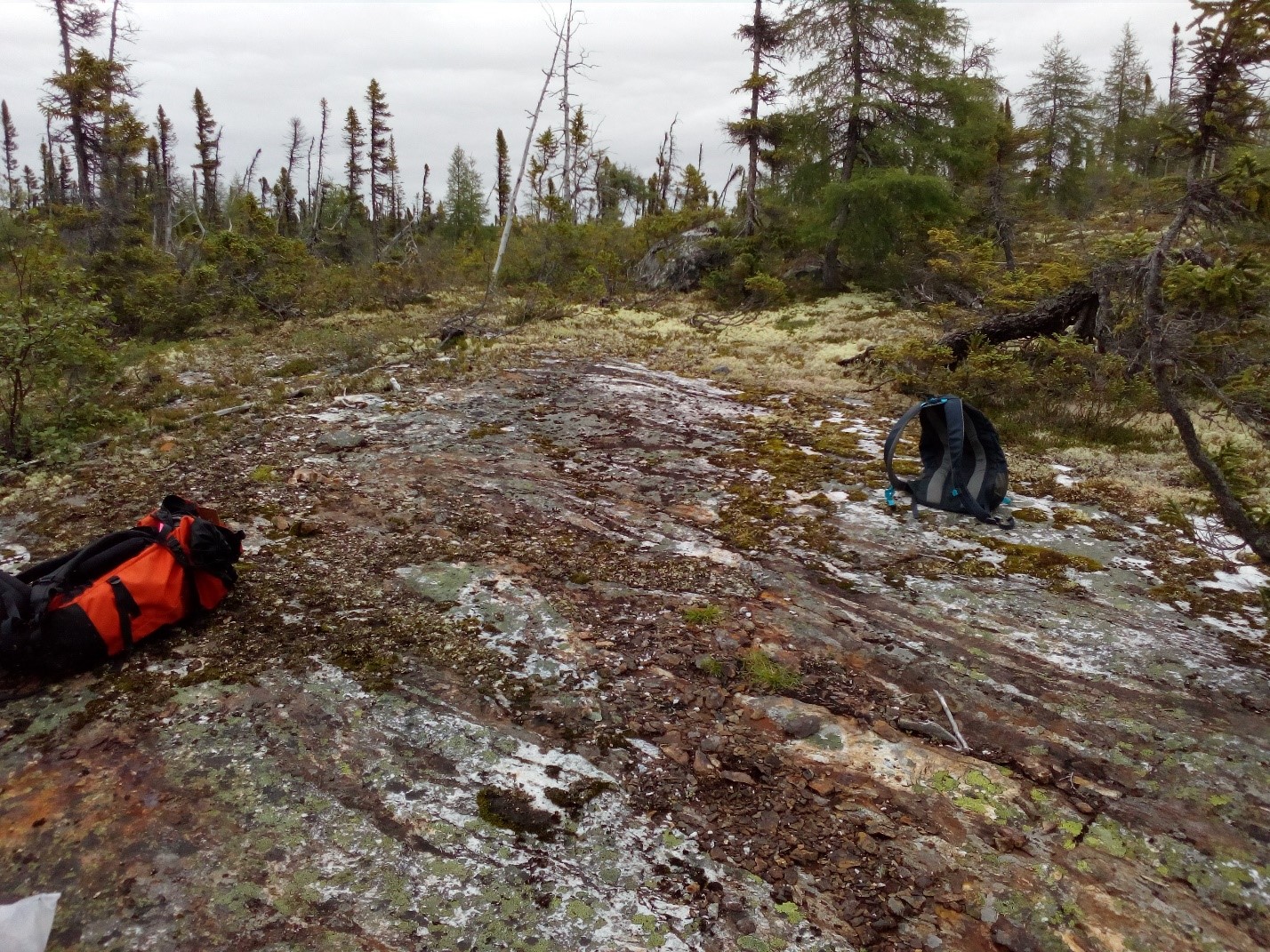 Figure 2: Area of new showing at the contact between mafic and felsic metavolcanics showing rusty zones.