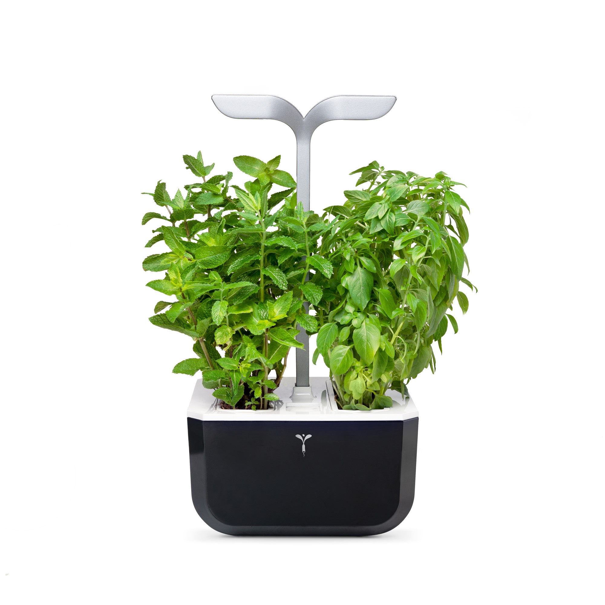 Véritable’s secret sauce is in the Lingots®, organic seeds, soil-less media and nutrients, which are packed with everything that is needed for success. The Lingot plants are ready to be tasted in about four weeks and are guaranteed to be robust and flavorful.