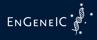 EnGeneIC granted FDA “Fast-Track” Designation for Novel Armed Nanocell Drug Conjugate (ANDC) Pancreatic Cancer Therapeutic