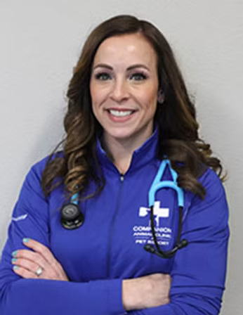 Veterinary Expert Dr. Colleen Nemmers Shares Ways to Prepare Your Dog for Grooming or Daycare in HelloNation