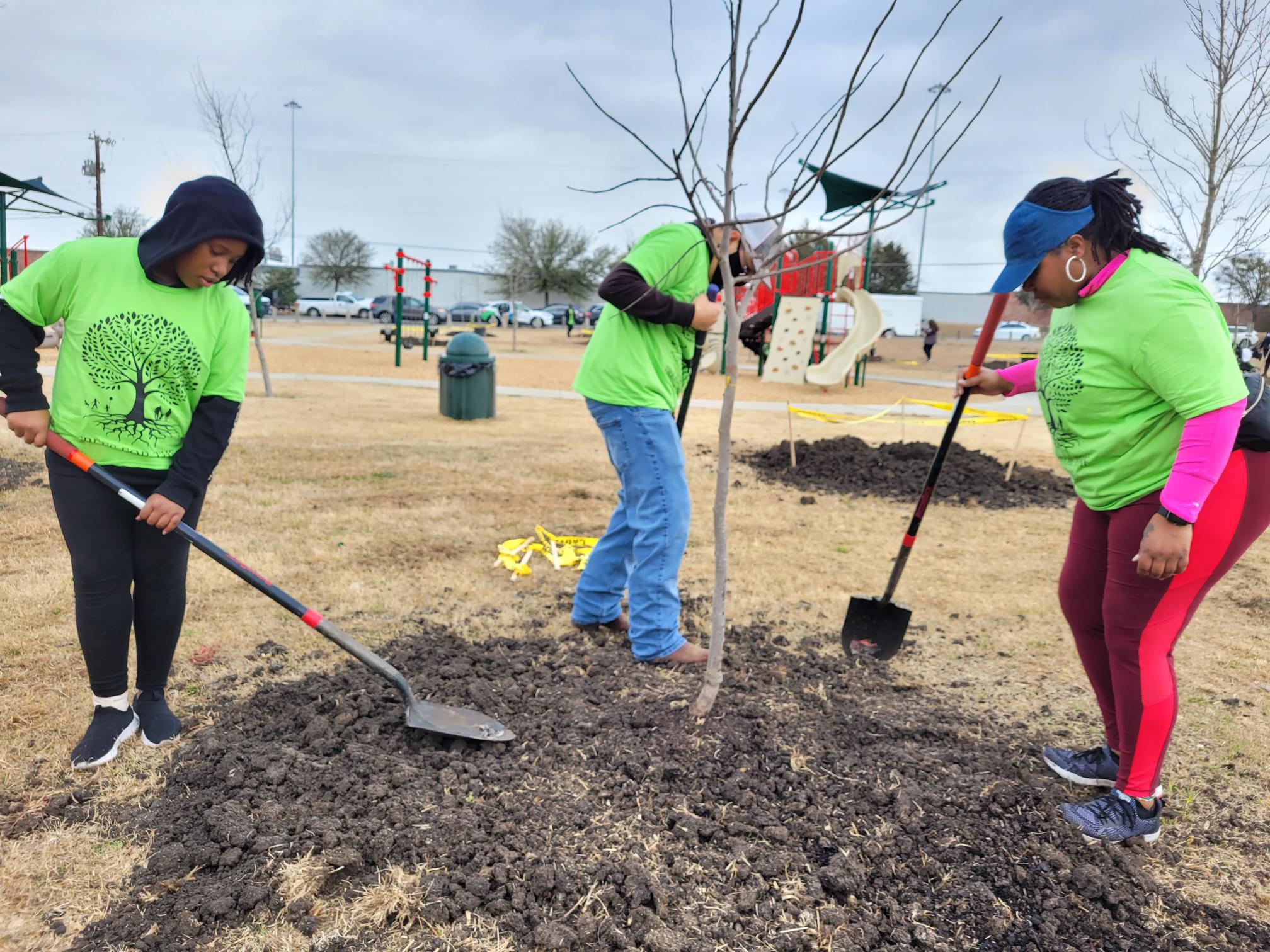 Texas Trees Foundation