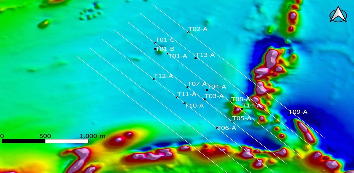 Target drill holes, 21-line km I.P. Grid, Total Magnetic Intensity (TMI)