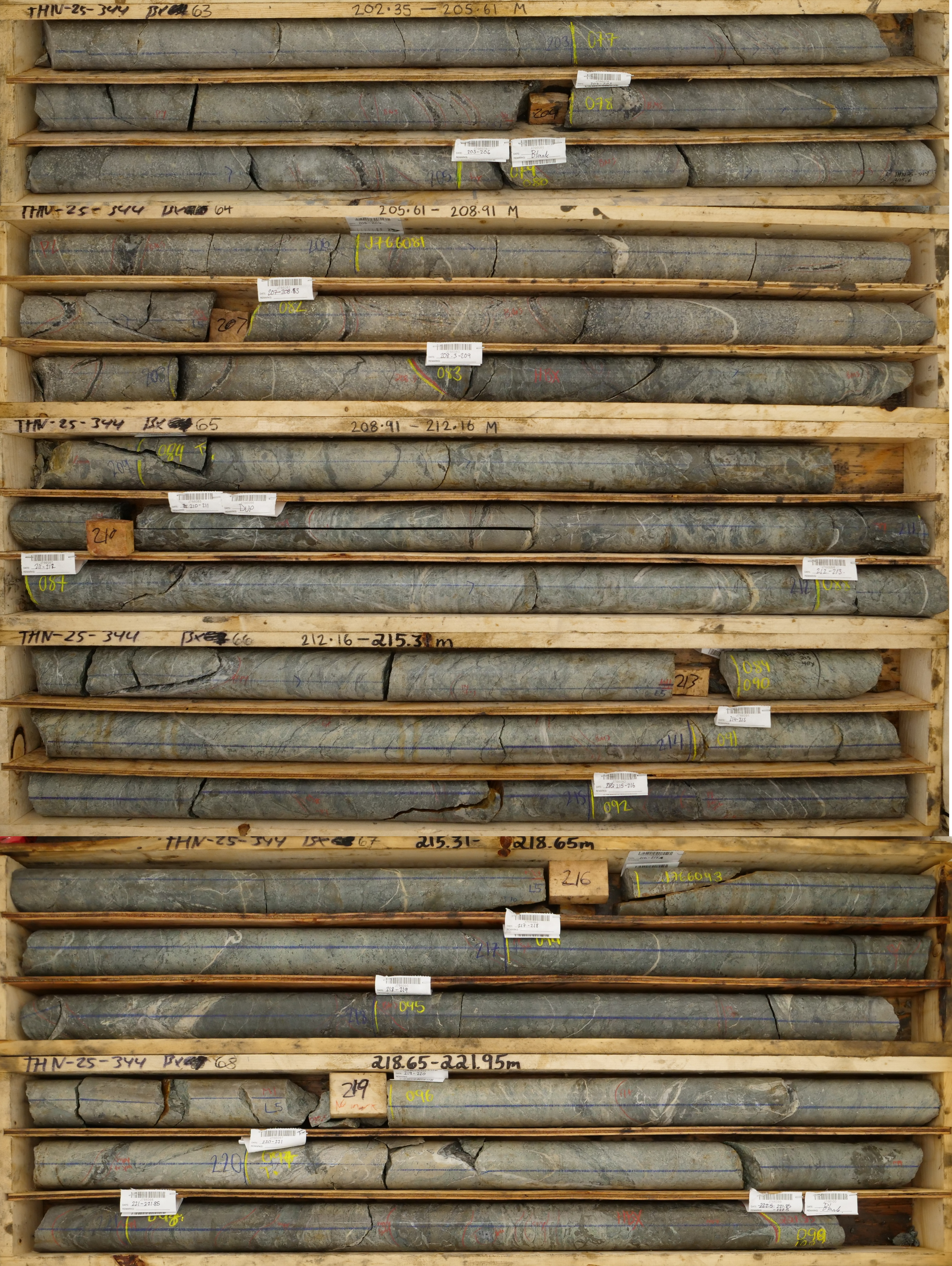 Figure 3 image