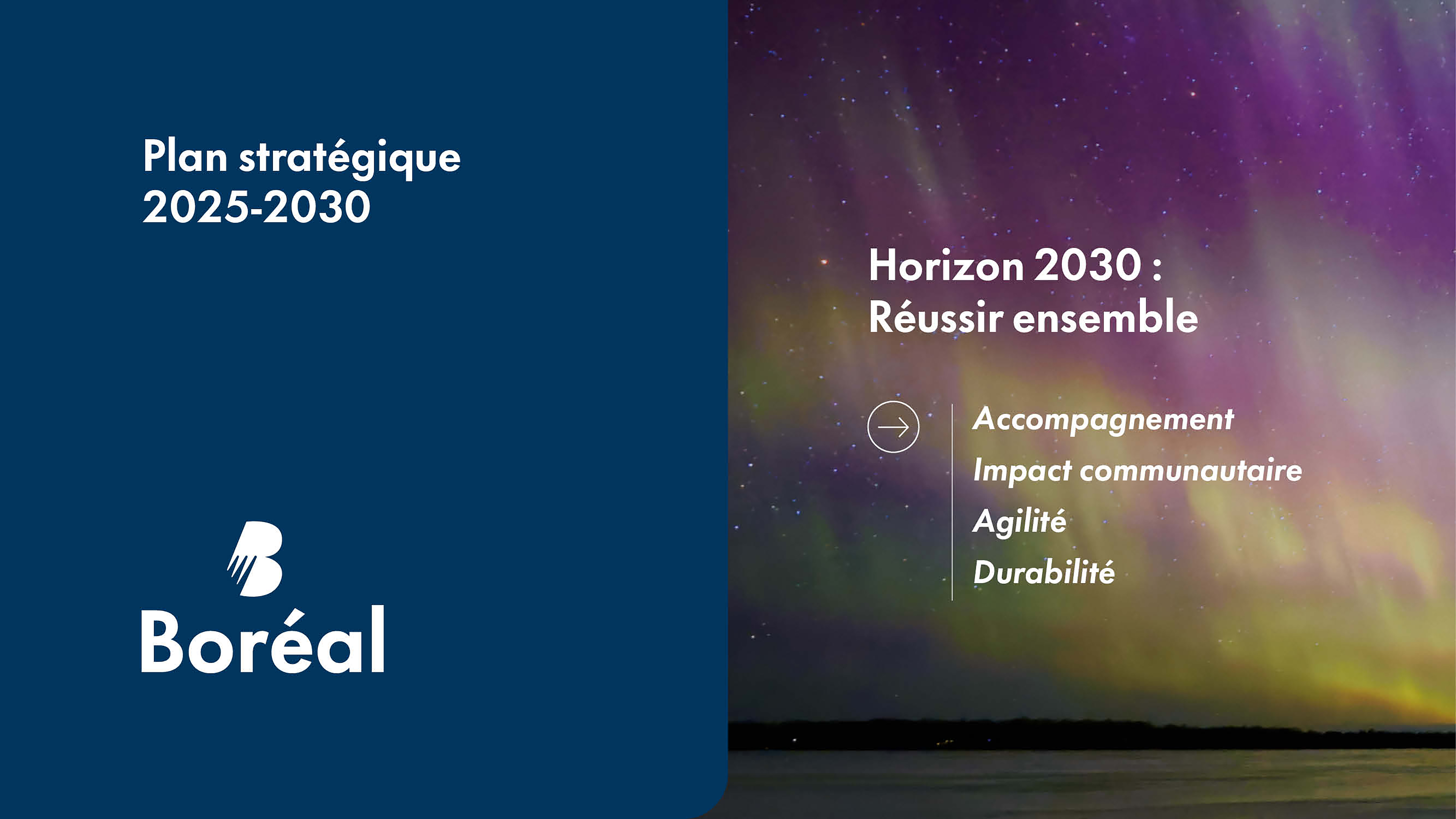 Un fond bleu où apparaît le logo du Collège Boréal jouxte la photo d'une aurore boréale sur laquelle est inscrit « Horizon 2030 : Réussir ensemble »