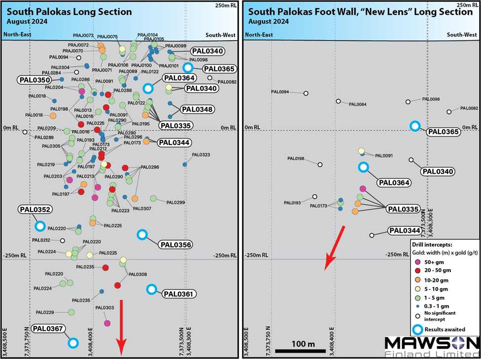 Long-section illustration demonstrating both historical and 2024 drill intercepts in the South Palokas prospect (left) and the 'new lens' (right) that is positioned approximately 100 m vertically below the South Palokas mineralisation. Intercepts from the 2024 drilling season are labelled in bold with their results represented in gold gram-metres (gold g/t x intercept thickness in metres). The small black rings indicate 'no significant intercept' and open blue rings indicate 'awaiting assay result'. Red arrows demonstrate the direction in which gold-cobalt mineralisation remains 'open' and untested. Section line is oriented on approximately 030? strike; see dashed blue line in Figure 1 above for reference.