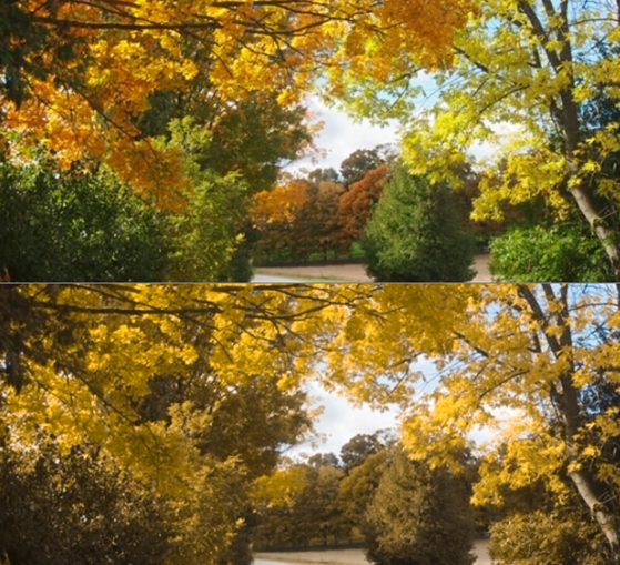 EnChroma and Pinnacle Scopes Offer Scenic Viewers Specially Modified for People with Color Blindness