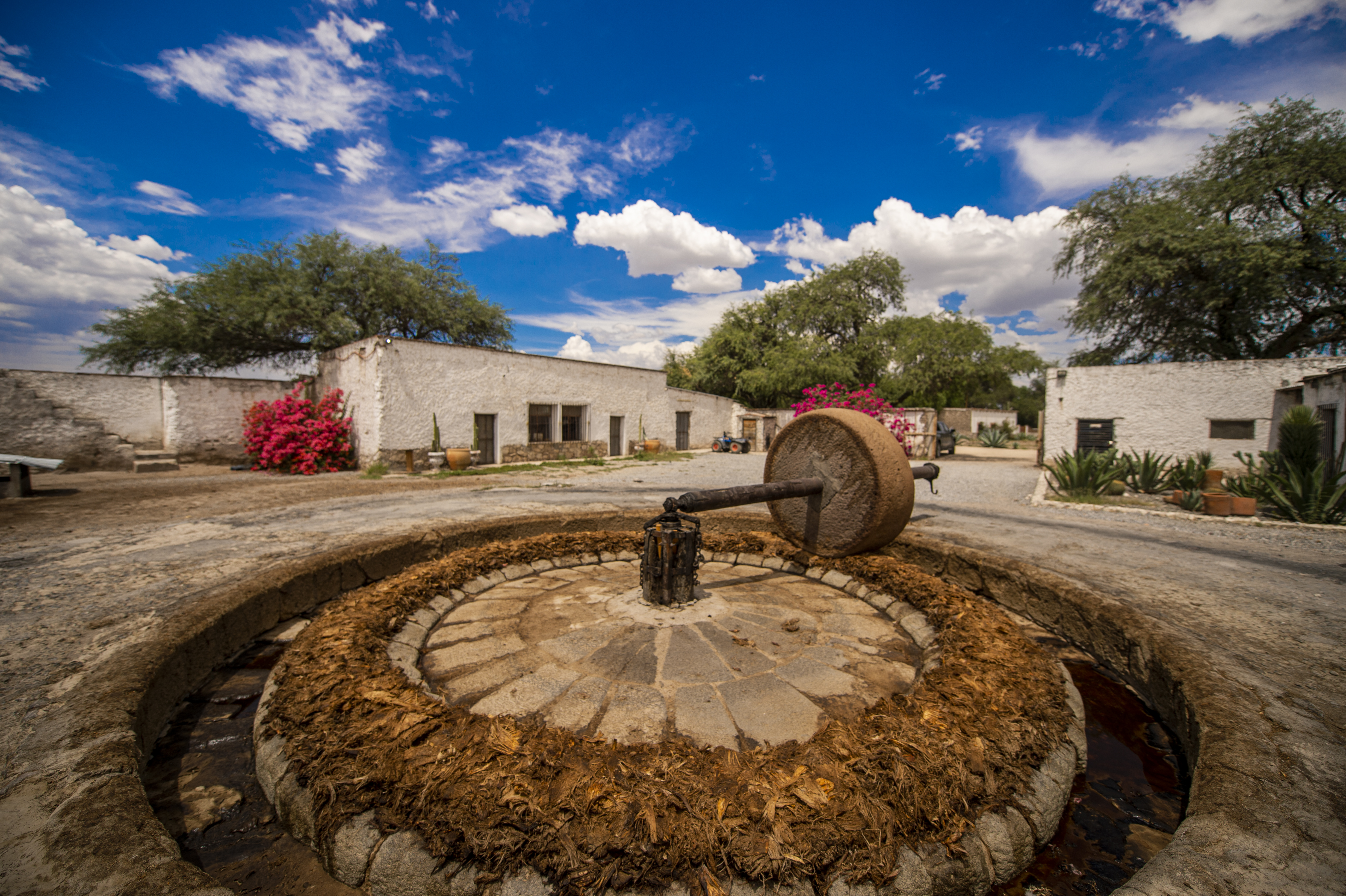 MEZCALSANFELIPE-01